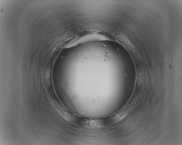 X0000086880365200704231109