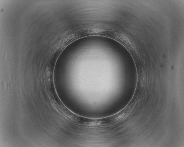 X0000086880366200704231109