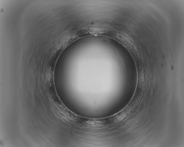 X0000086880367200704231109