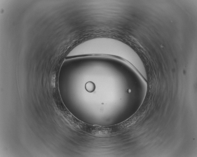 X0000086880368200704231109