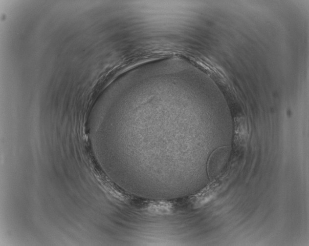 X0000086880369200704231109