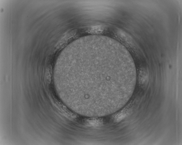 X0000086880370200704231109