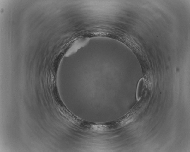 X0000086880371200704231109