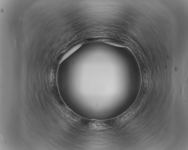 X0000086880372200704231109