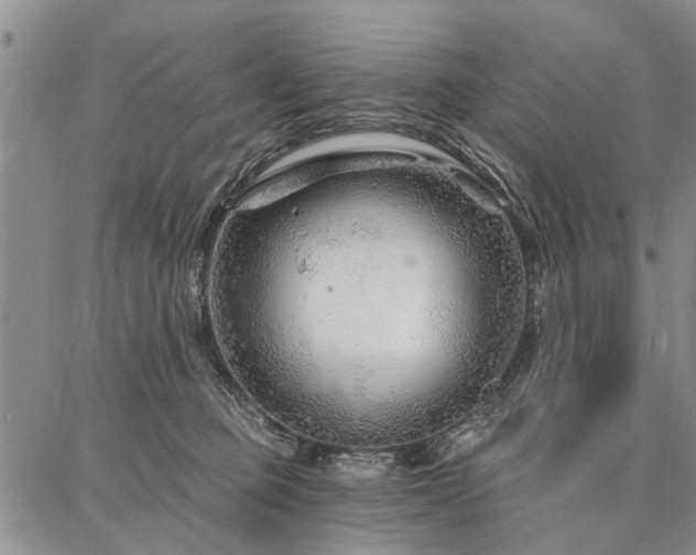 X0000086880373200704231109