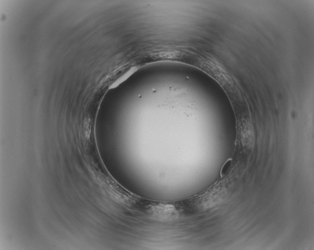 X0000086880374200704231109