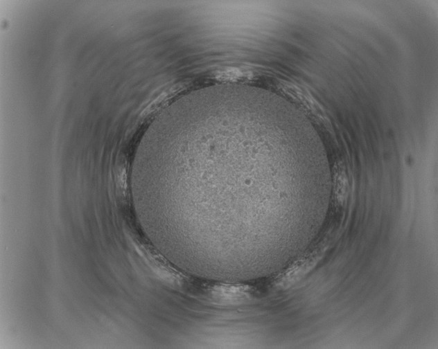 X0000086880375200704231109