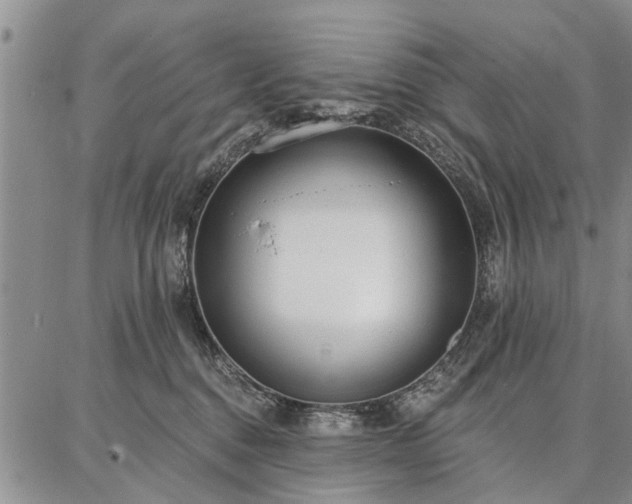 X0000086880376200704231109