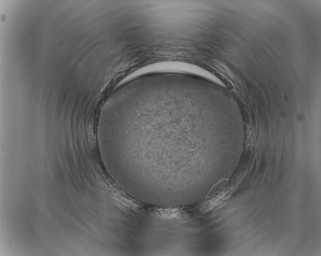 X0000086880377200704231109