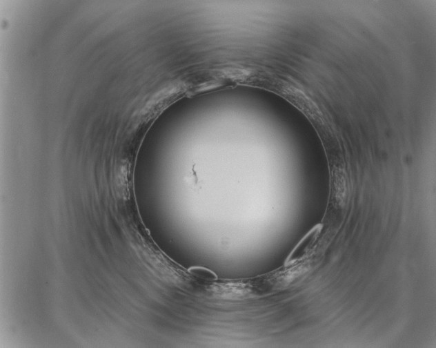 X0000086880378200704231109