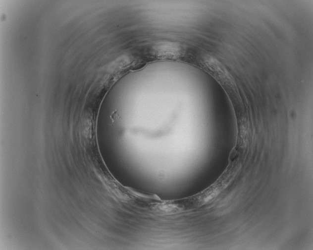 X0000086880379200704231109