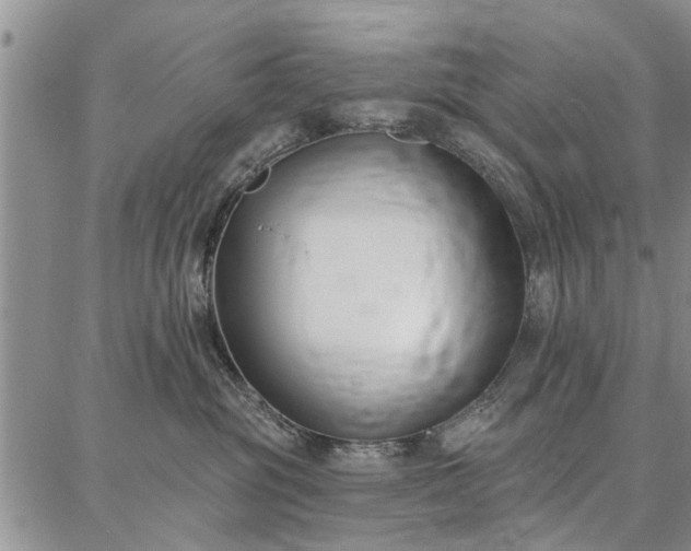 X0000086880381200704231109