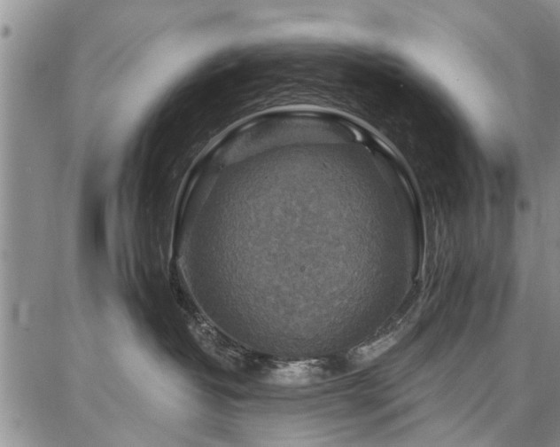 X0000086880382200704231109