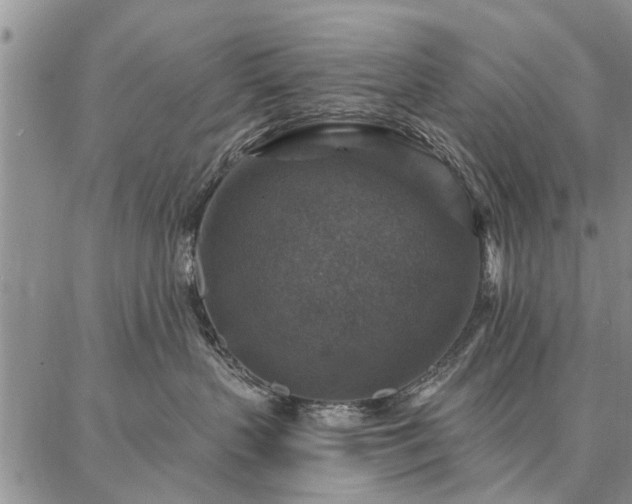 X0000086880383200704231109