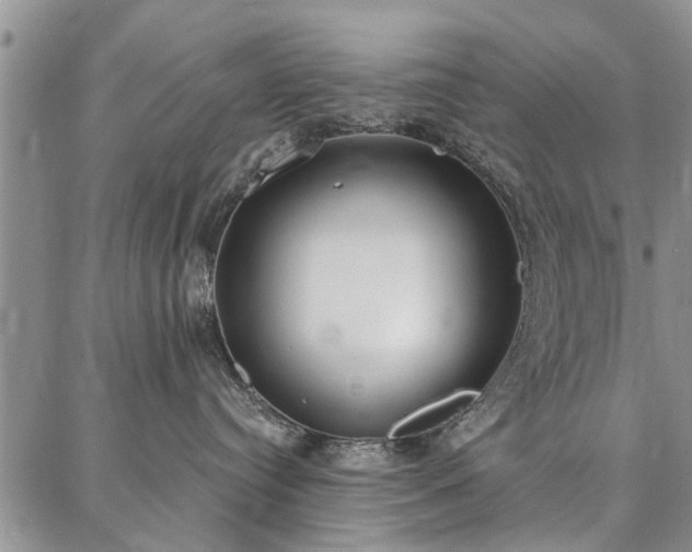 X0000086880384200704231109