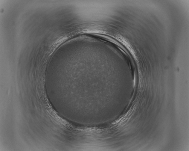 X0000086880385200704231108