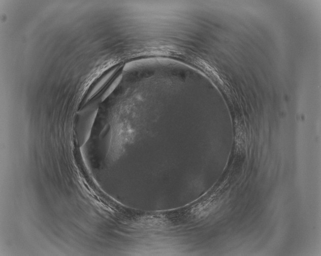 X0000086880386200704231108