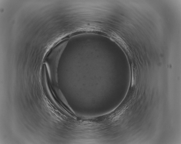 X0000086880387200704231108