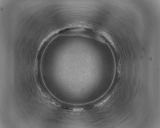 X0000086880388200704231108