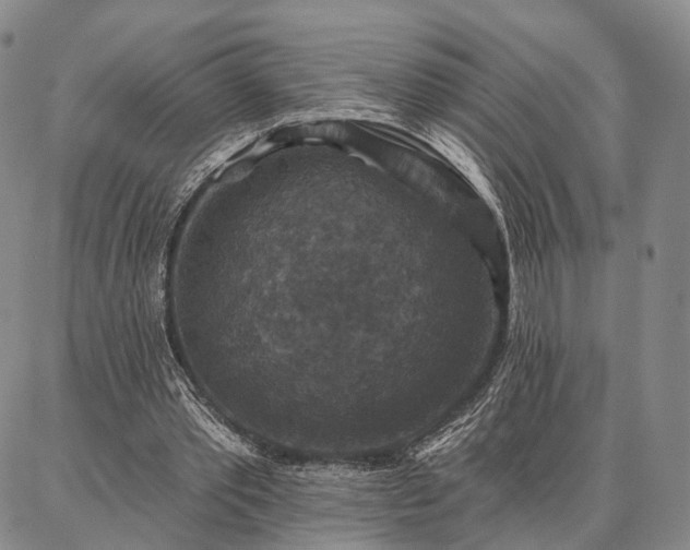 X0000086880389200704231108