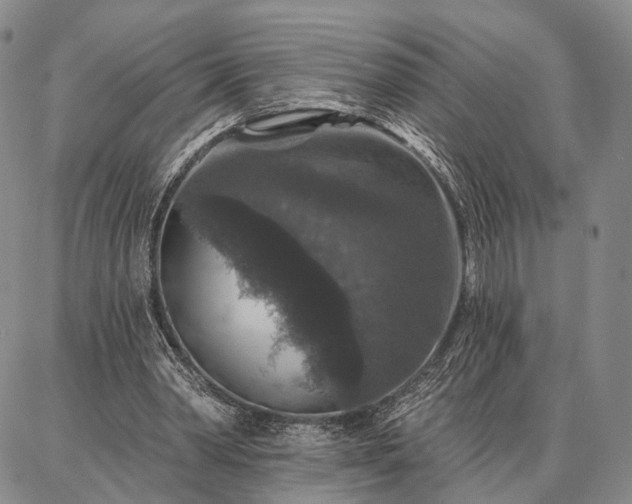 X0000086880390200704231108