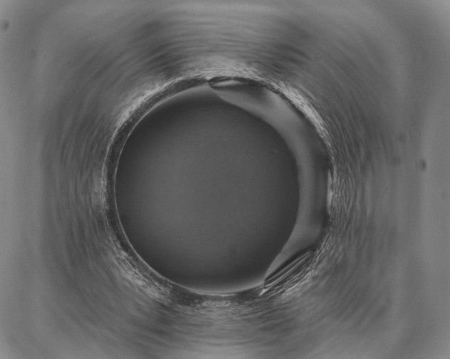 X0000086880391200704231108