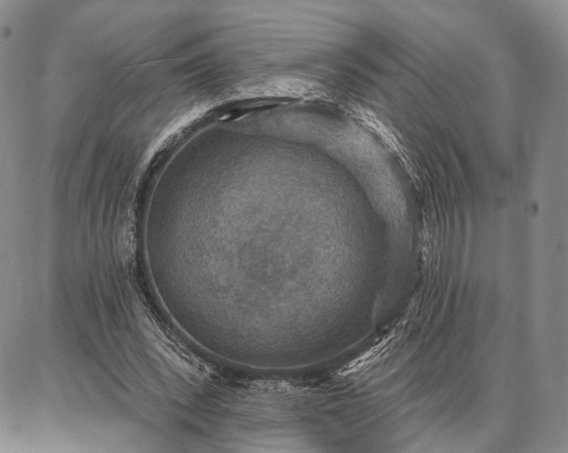 X0000086880392200704231108