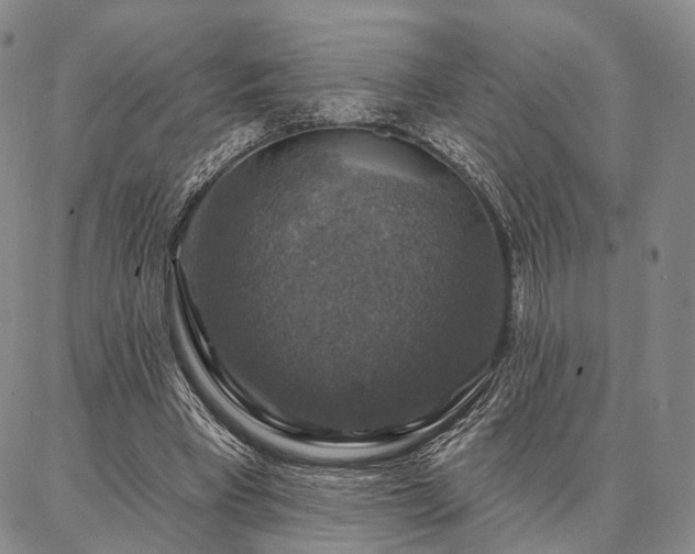 X0000086880393200704231108