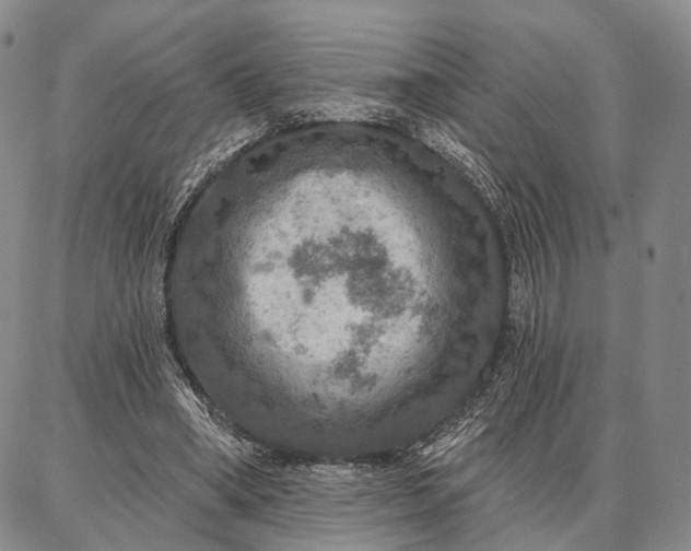 X0000086880394200704231108