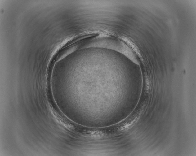 X0000086880395200704231108