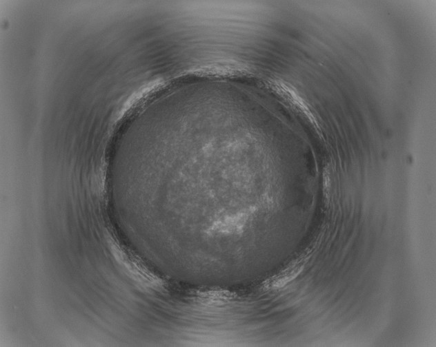 X0000086880396200704231108