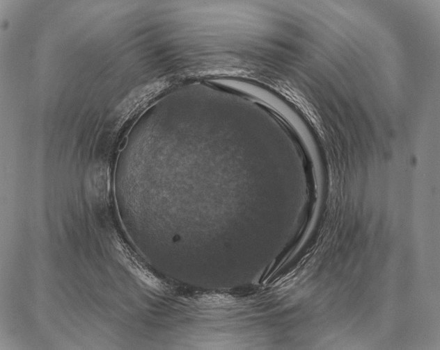 X0000086880397200704231108