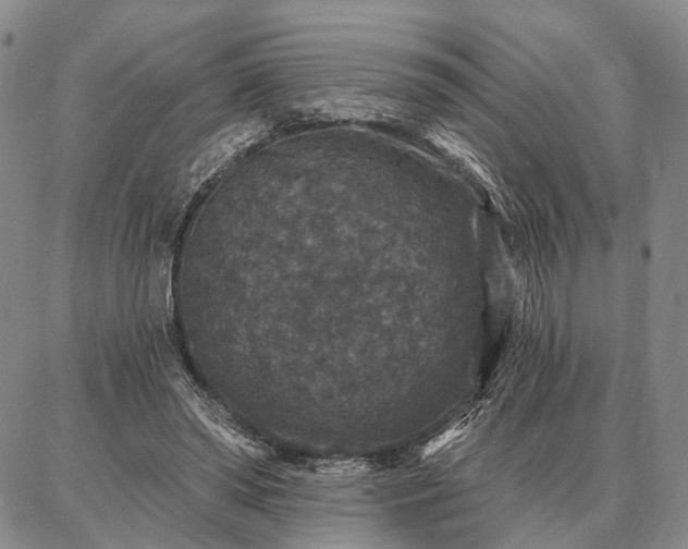 X0000086880398200704231108