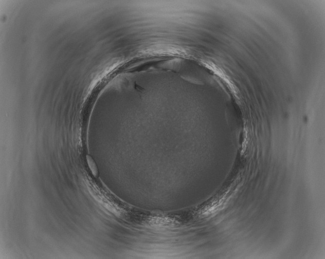 X0000086880399200704231108