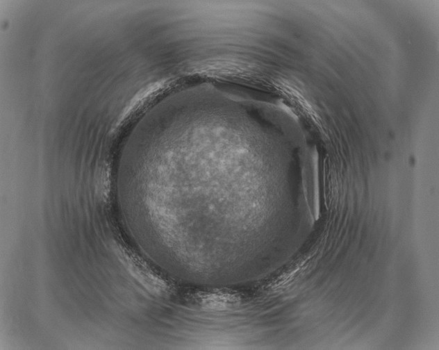 X0000086880400200704231108