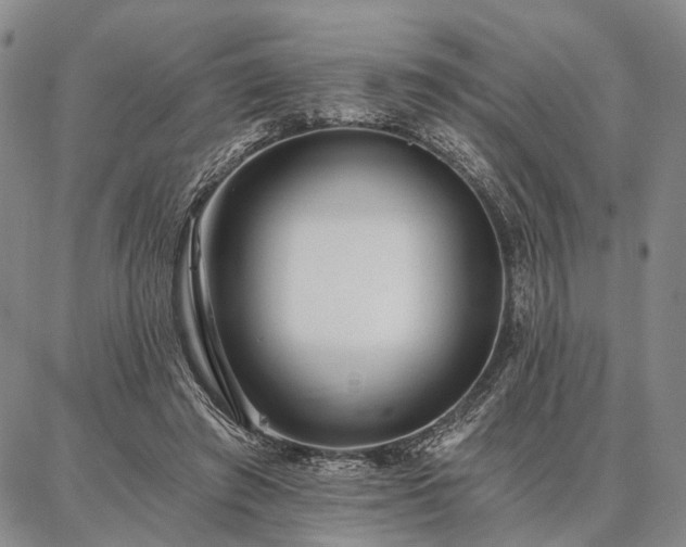 X0000086880401200704231108