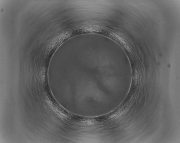 X0000086880402200704231108