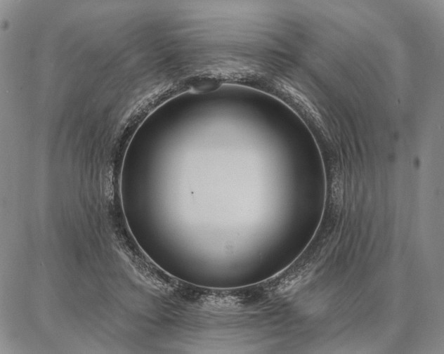 X0000086880403200704231108