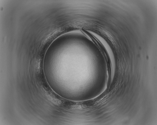 X0000086880404200704231108