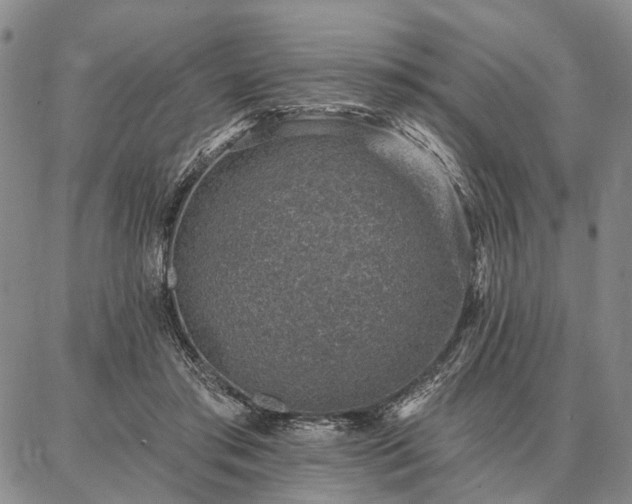 X0000086880405200704231108