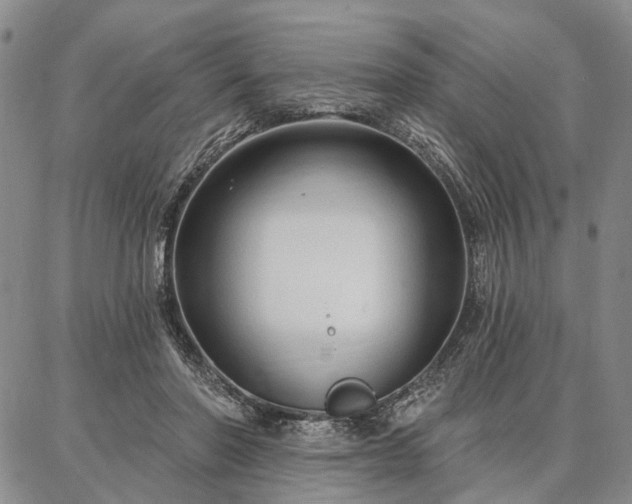 X0000086880406200704231108