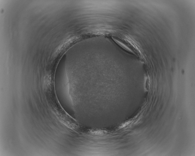 X0000086880407200704231108