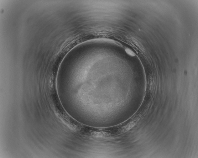 X0000086880408200704231108