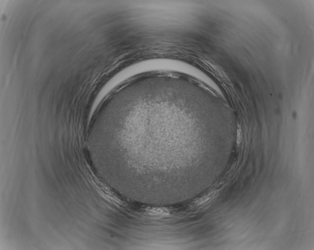 X0000086880409200704231108