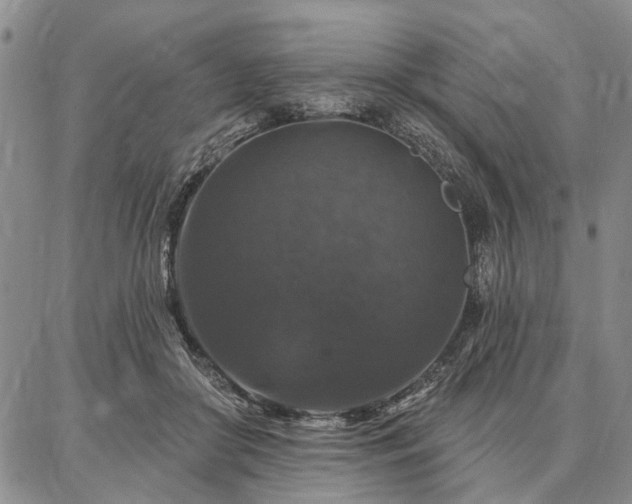 X0000086880410200704231108