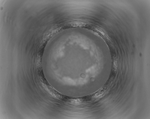 X0000086880411200704231108