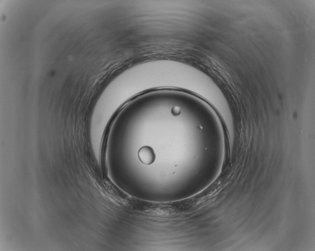 X0000086880412200704231108