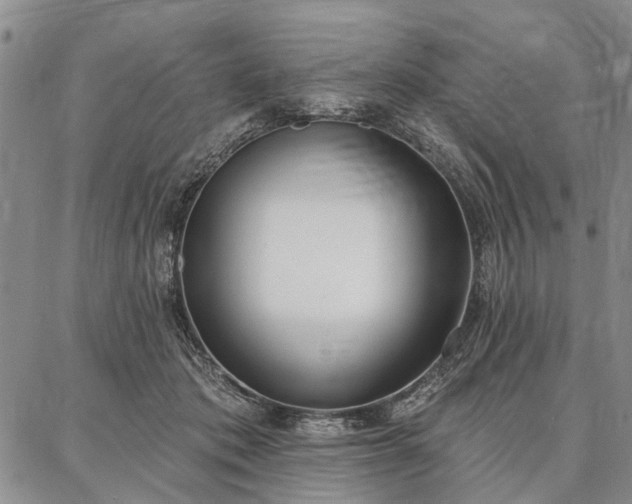 X0000086880413200704231108