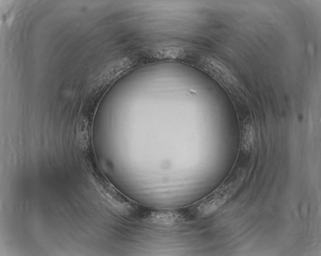 X0000086880414200704231108