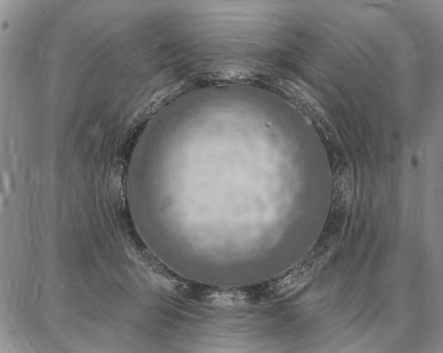 X0000086880415200704231108